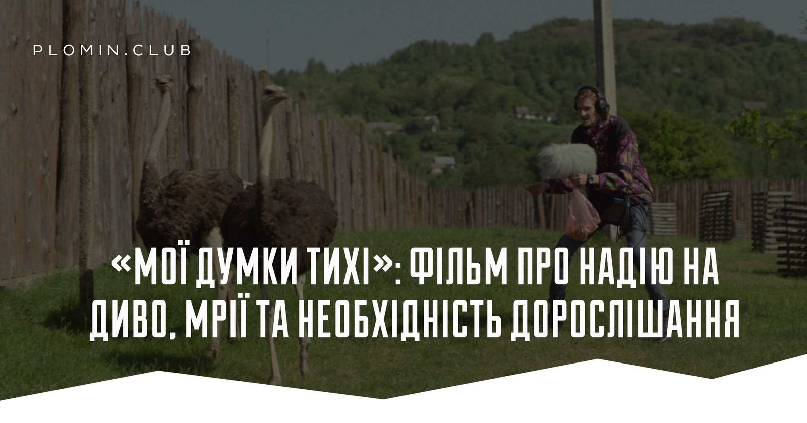 мої думки тихі
