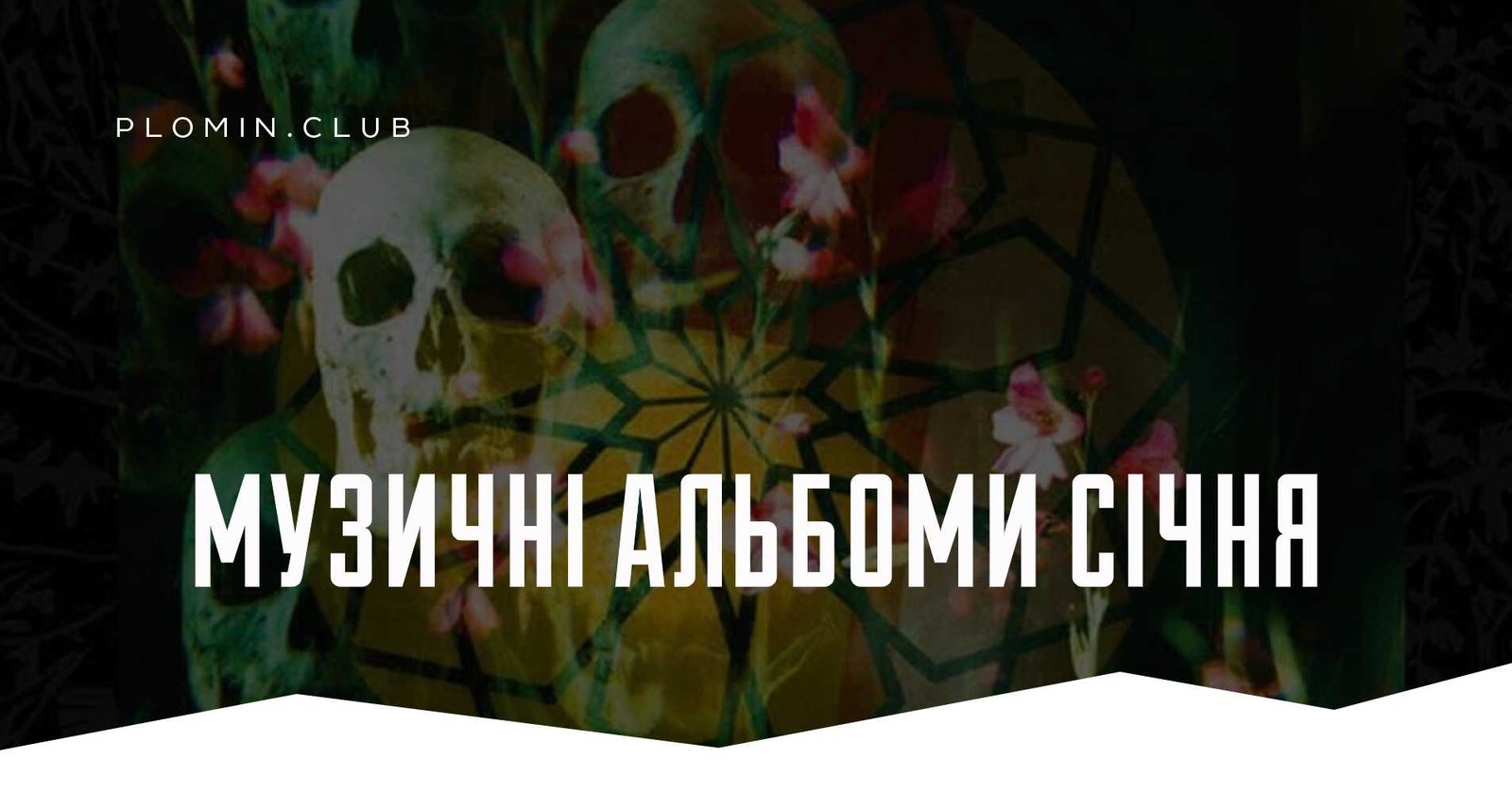 Музичні альбоми січня