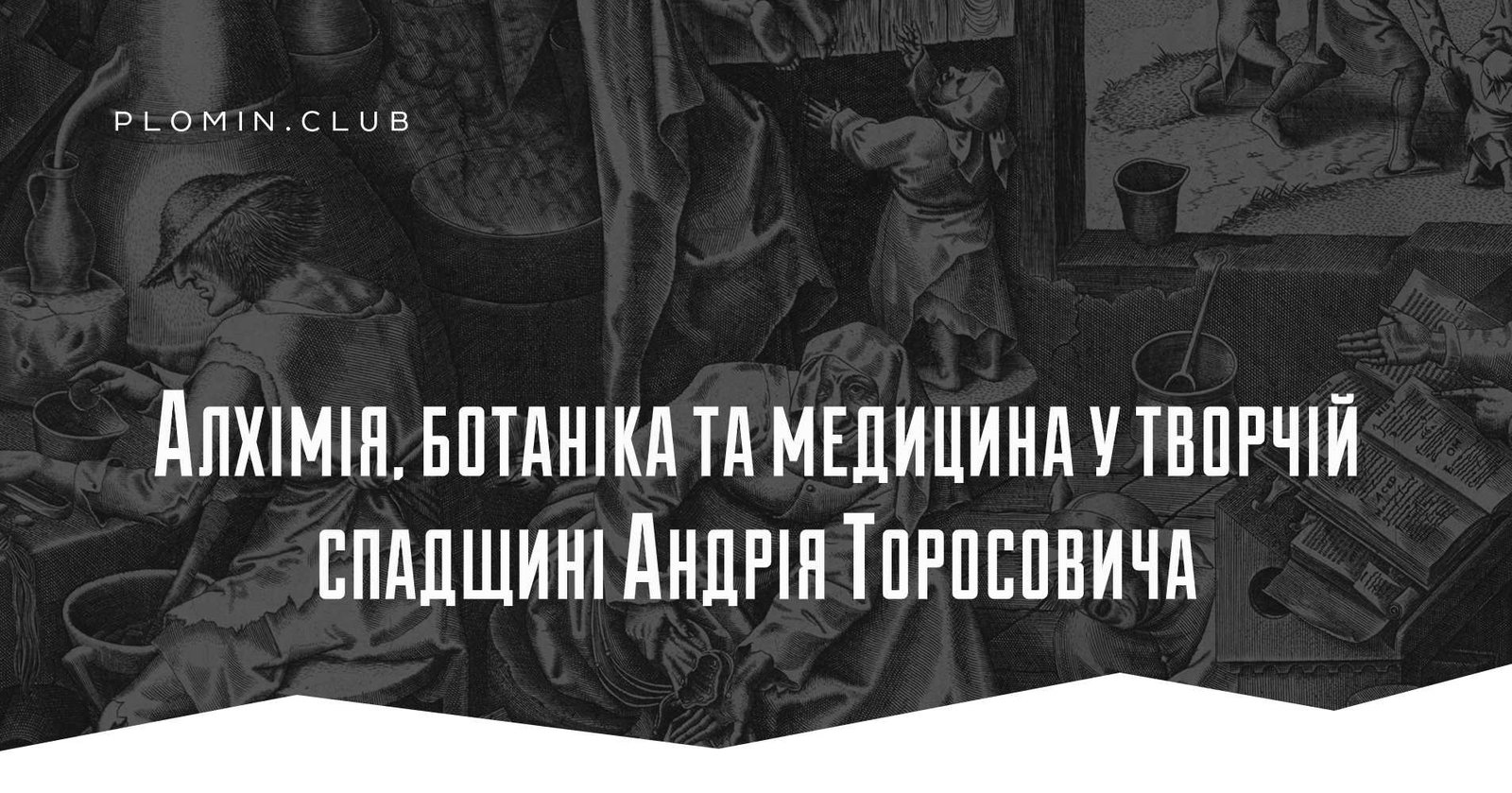 Алхімія, ботаніка та медицина у творчій спадщині Андрія Торосовича