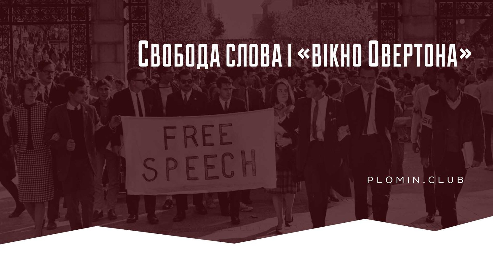 вікно Овертона