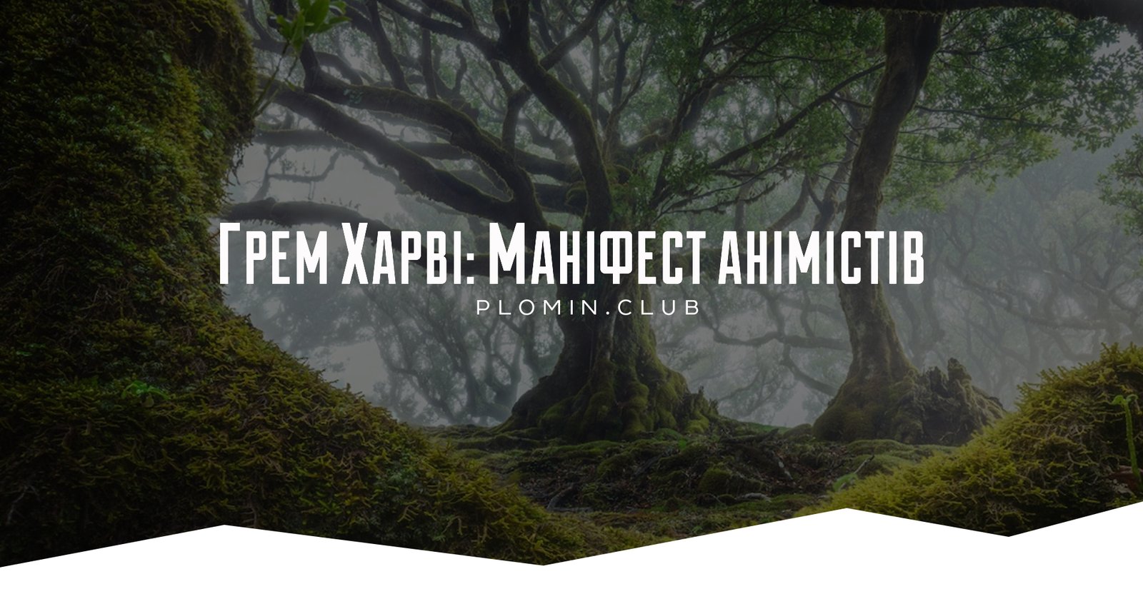 анімізм