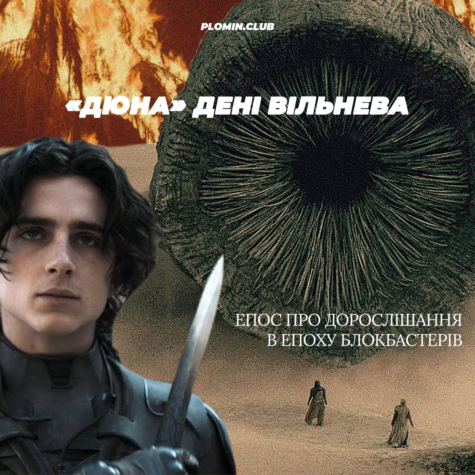 Дюна Вільнев